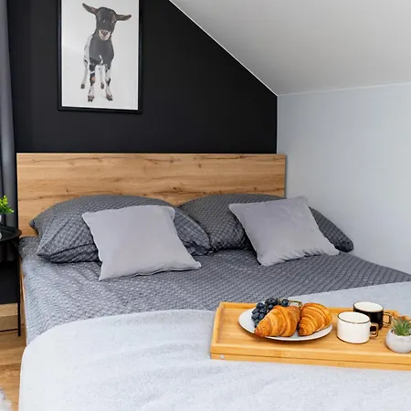 Dablin 9 - Dom W Gorach Z Goraca Balia, Blisko Szlakow I Wyciagow *